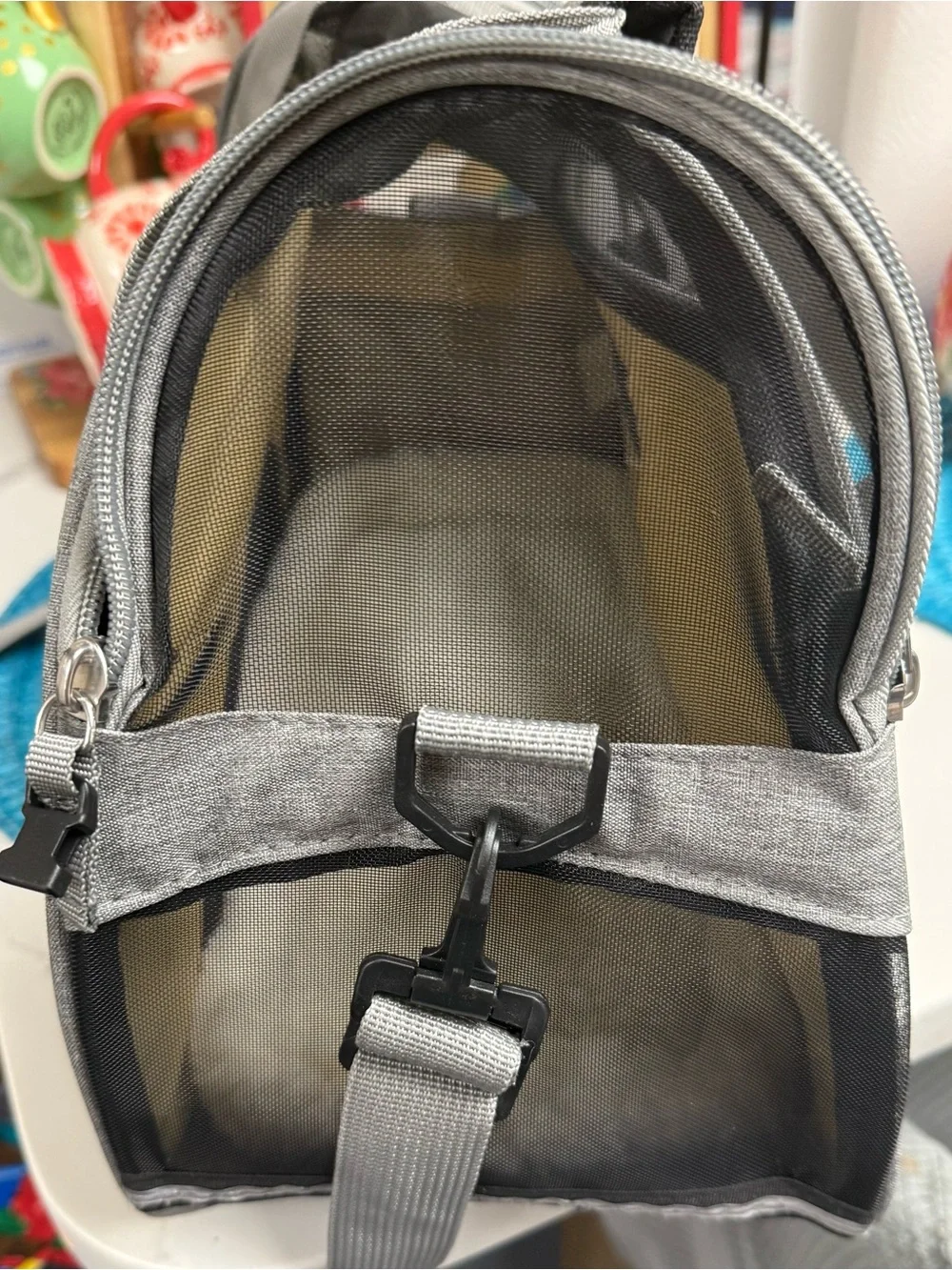 Bergan Comfort Airlines-Approved Dog and Cat Carry Bag